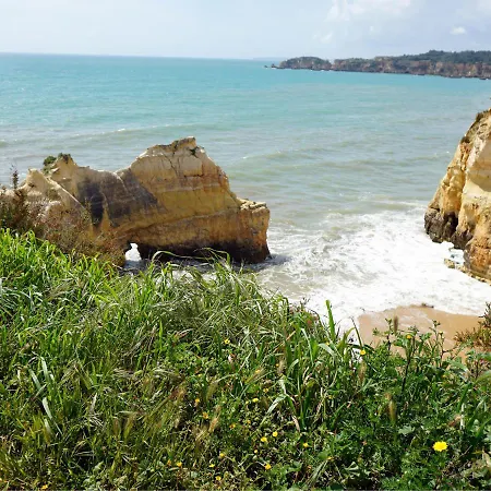 Blue Ocean Lovers By Real Life Concierge *